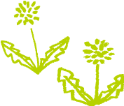 花の手書き風イラスト