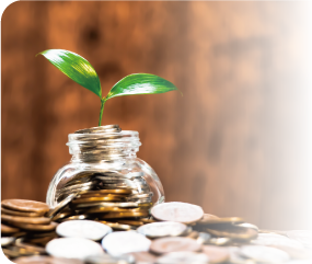 新芽が芽生えている様子