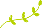 緑の葉のイラスト
